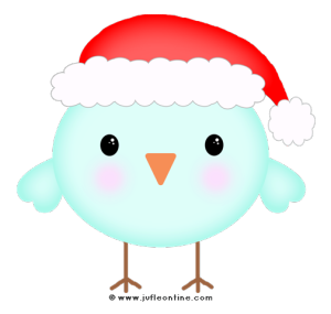 Bird glow colour santa